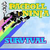 Ragdoll Ninja:Survival