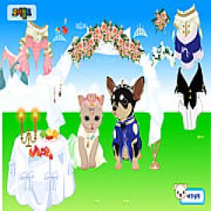 Pet Wedding Dress Up