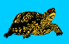 play Escape The Pet Shop