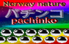 play Norway Nature Pachinko