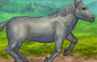 play My Pet Horse