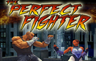 play The Perfect Fighter