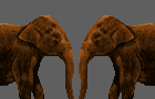 play Pushy Elephant