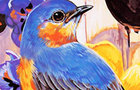 play Painting Birds