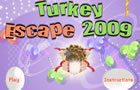 play Turkey Escape 2009