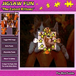 play The Cutest Kittens