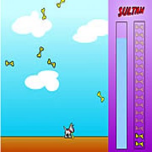 play Sultan