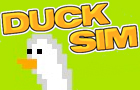play Duck Sim 2008