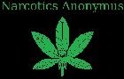 play Narcotics Anonymus