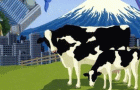 play Katamari Damacy Flash