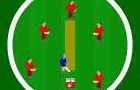 play Mini Cricket