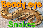 play Beady Eye:Snakes