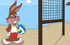 play Beach Volleyball