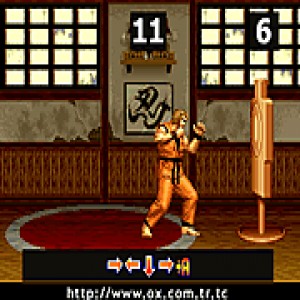 play Art Of Fighting