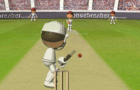 play Flash Cricket 2