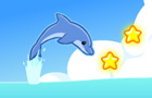 play Star Splash