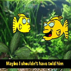 play Aqua Life Episode #1