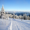 play Winter Jigsaw