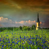 play Cornflower Meadow
