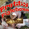 play Pretty Pigletons