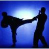 play Karate Fighting Hero