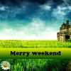 play Merry Weekend 5 Differences