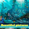 play Beautiful Pictures