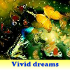 play Vivid Dreams 5 Differences