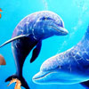 play Under Water Fishes