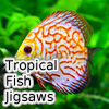 play Tropical Fish Jigsaw Tournament