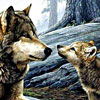 Wolfs