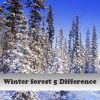play Winter Forest 5 Difference