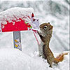 play Squirrel In Snow Slide Puzzle