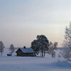 play Winter House