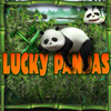 play Lucky Pandas