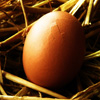 play Jigsaw: Egg