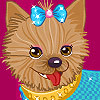 play Fancy Dogs