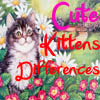 play Cute Kittens Differences