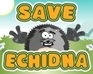 play Save Echidna