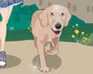 play Walker Friends