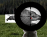 play Shooting Sports