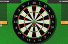 play Flashfooty Darts:Cricket