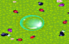 play Bubble Bugs