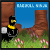 play Ragdoll Ninja