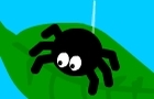 play Spiderspin