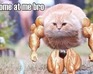 play Come At Me Bro!