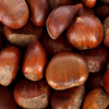 play Jigsaw: Chestnuts