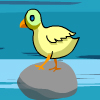 play Chicken Act