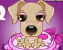 play Puppy Stylist