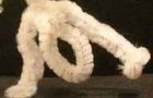 play Pipe Cleaner Dance